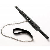 Черный ошейник с шипами и поводком - Crazy Handmade - купить с доставкой в Севастополе