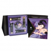 Подарочный набор Geishas secret из 5 предметов - Shunga - купить с доставкой в Севастополе