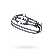 Черный кожаный пояс с кольцами - Pecado - купить с доставкой в Севастополе