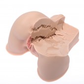 Мастурбатор-полуторс Naked Factory Kate - Naked Factory - в Севастополе купить с доставкой