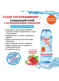 Очищающий спрей для игрушек CLEAR TOY Strawberry - 100 мл. - Биоритм - купить с доставкой в Севастополе