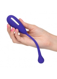 Фиолетовый шарик с электростимуляцией и вибрацией Intimate E-Stimulator Remote Kegel Exerciser - California Exotic Novelties - купить с доставкой в Севастополе