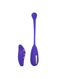 Фиолетовый шарик с электростимуляцией и вибрацией Intimate E-Stimulator Remote Kegel Exerciser - California Exotic Novelties - купить с доставкой в Севастополе