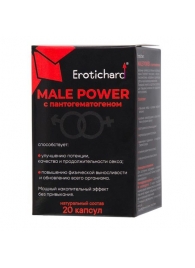 Капсулы для мужчин Erotichard male power с пантогематогеном - 20 капсул (0,370 гр.) - Erotic Hard - купить с доставкой в Севастополе