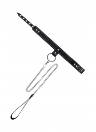 Черный узкий однослойный ошейник с серебристым поводком-цепочкой - Pecado - купить с доставкой в Севастополе