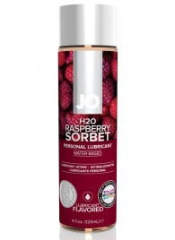 Лубрикант на водной основе с ароматом малины JO Flavored Raspberry Sorbet - 120 мл. - System JO - купить с доставкой в Севастополе