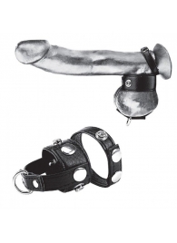 Утяжка для мошонки и пениса Cock Ring With 1  Ball Stretcher And Optional Weight Ring - BlueLine - купить с доставкой в Севастополе