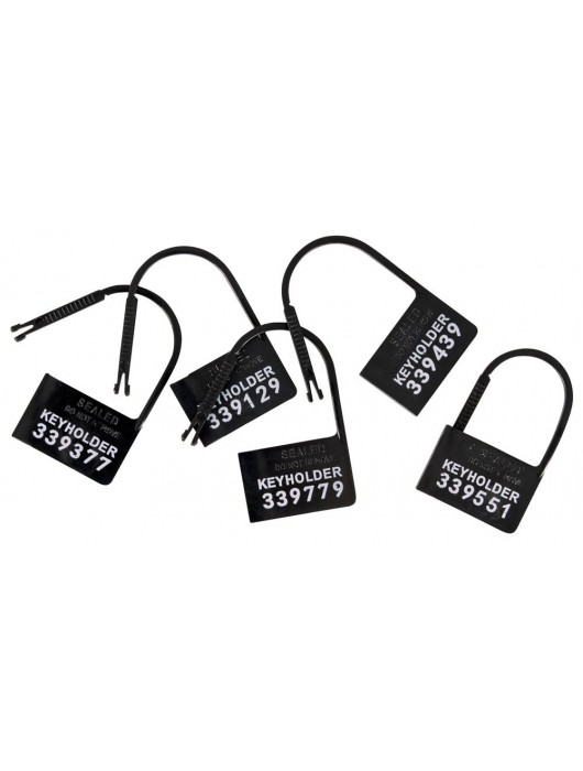 Набор для мужского пояса верности Cock Cage Set - Orion - купить с доставкой в Севастополе