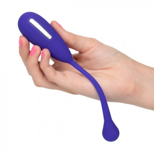 Фиолетовый шарик с электростимуляцией и вибрацией Intimate E-Stimulator Remote Kegel Exerciser - California Exotic Novelties - купить с доставкой в Севастополе