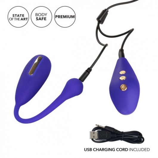 Фиолетовый шарик с электростимуляцией и вибрацией Intimate E-Stimulator Remote Kegel Exerciser - California Exotic Novelties - купить с доставкой в Севастополе