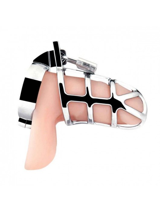 Серебристая металлическая клетка для члена с замком Enslave Cock Cage - BlueLine - купить с доставкой в Севастополе