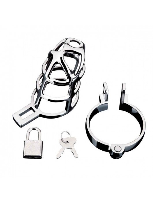 Серебристая металлическая клетка для члена с замком Enslave Cock Cage - BlueLine - купить с доставкой в Севастополе