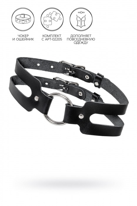Черный кожаный чокер-ошейник из двух ремешков - Pecado - купить с доставкой в Севастополе