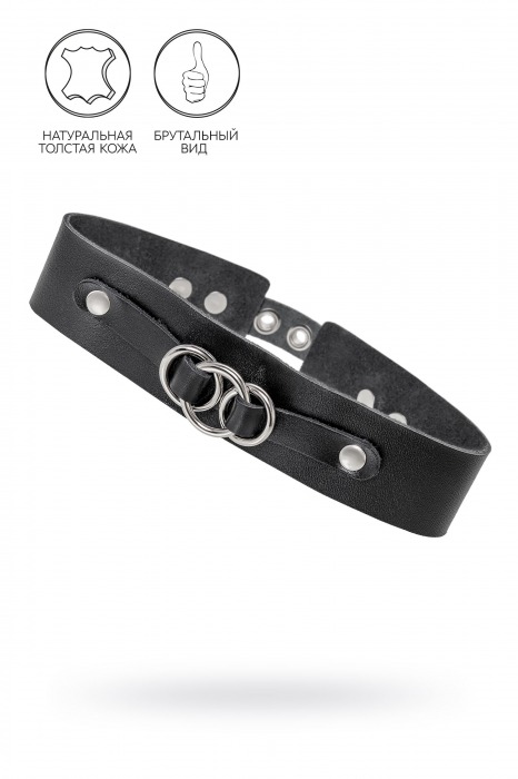 Черный чокер-ошейник со связанными кольцами на подложке - Pecado - купить с доставкой в Севастополе