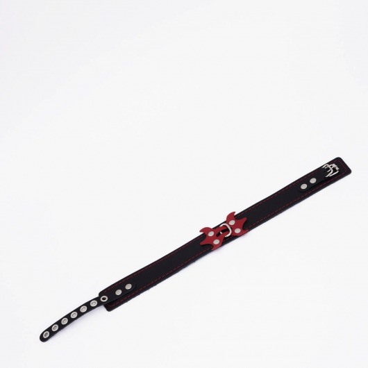 Черный ошейник с красным декором и строчкой - Crazy Handmade - купить с доставкой в Севастополе