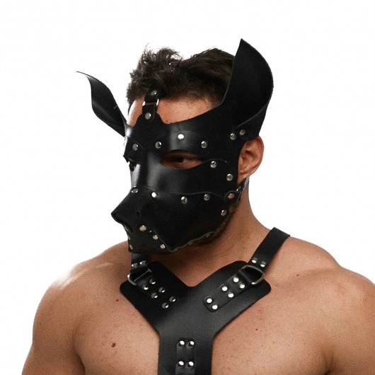 Черная кожаная маска «Собака» - Crazy Handmade - купить с доставкой в Севастополе