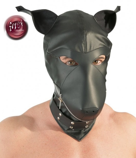 Шлем-маска Dog Mask в виде морды собаки - Orion - купить с доставкой в Севастополе