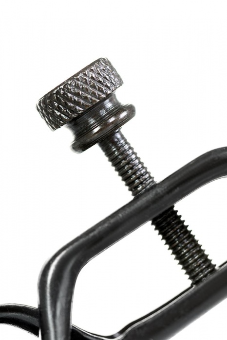 Черно-золотистые зажимы для сосков TOYFA Theatre - ToyFa - купить с доставкой в Севастополе